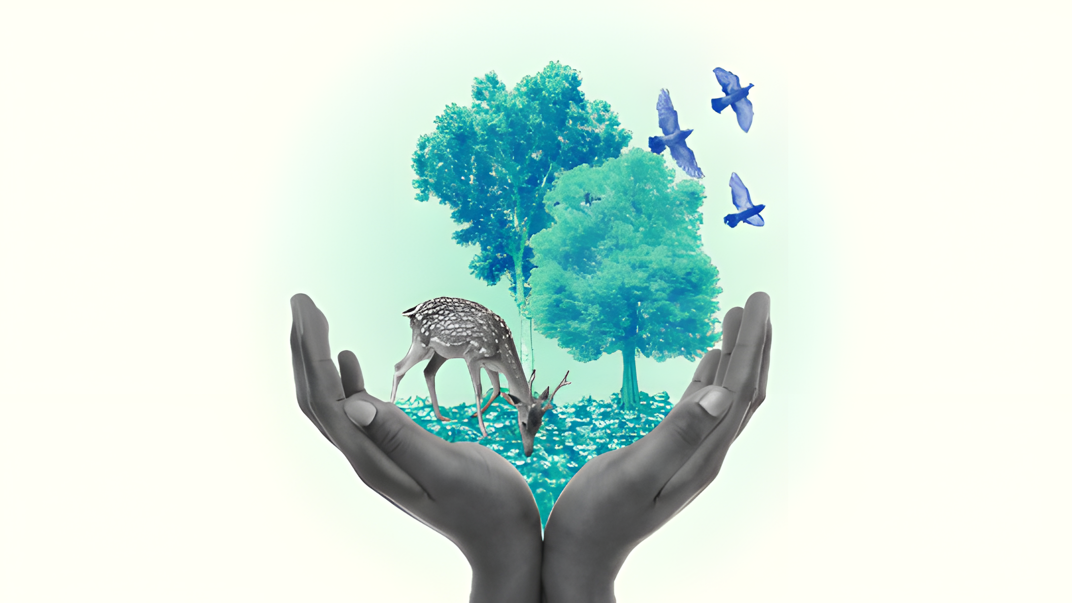 Mâini care protejează arbori, păsări și faună